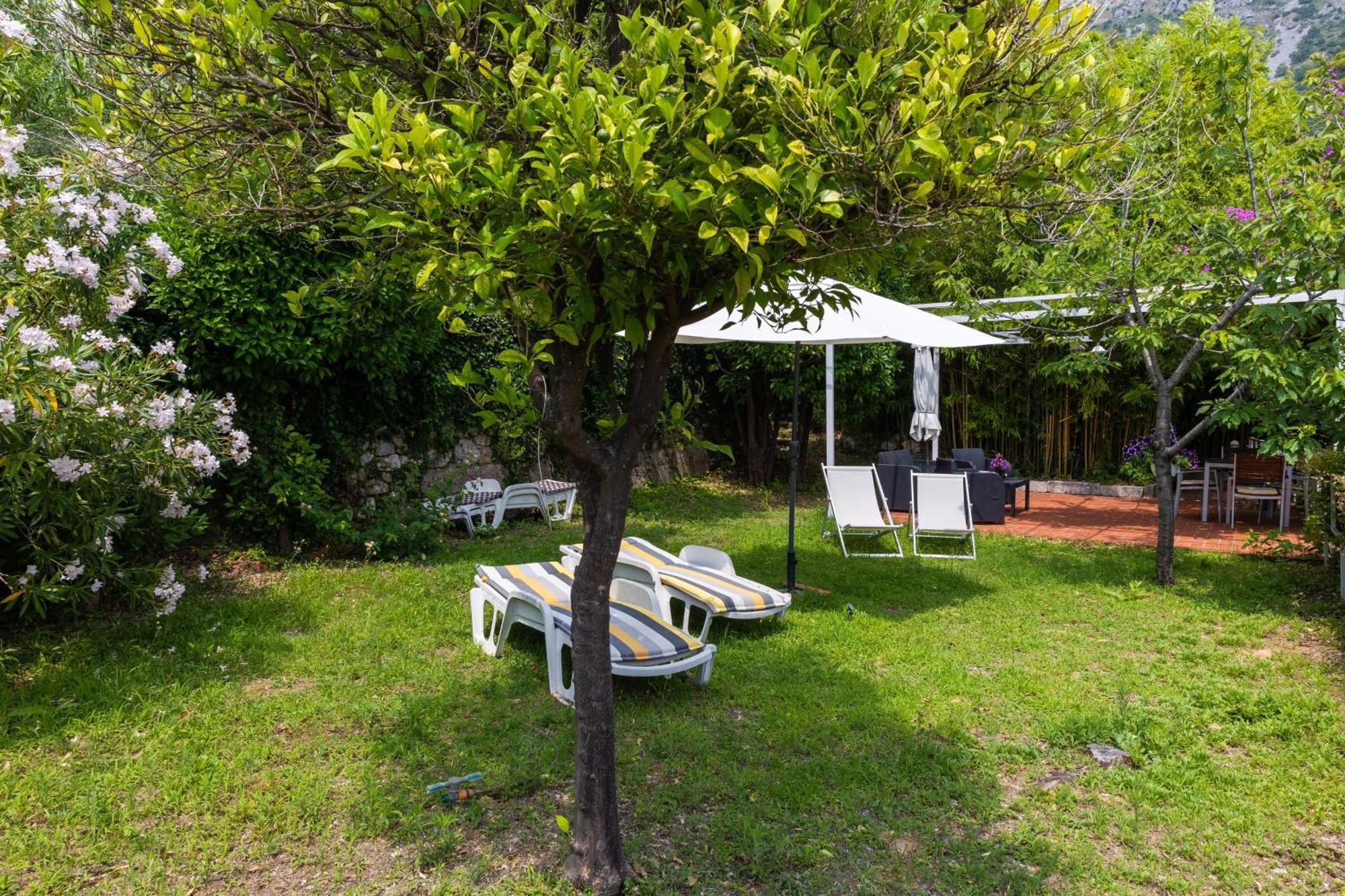 Apartments Mare Mlini Room photo