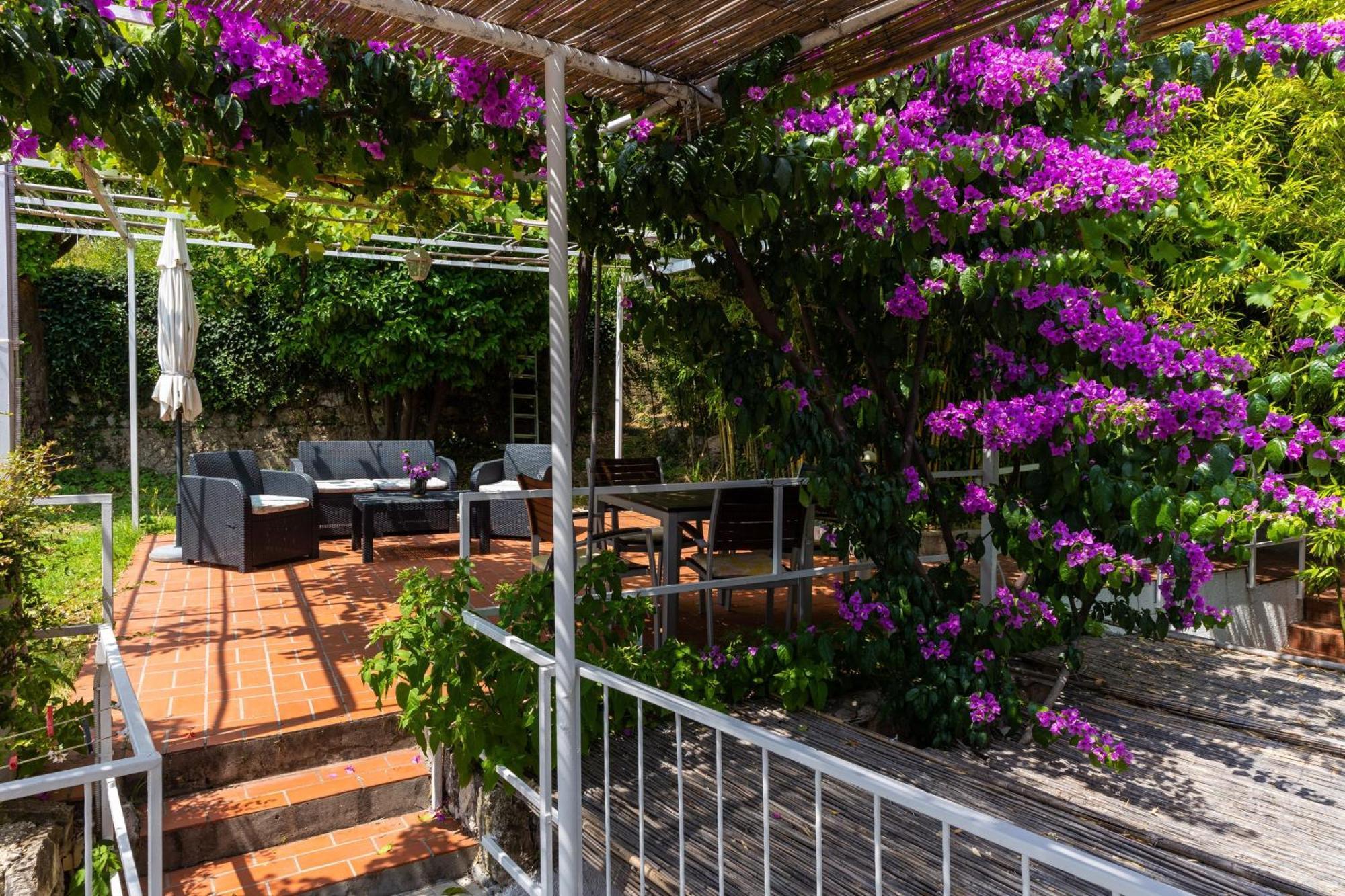 Apartments Mare Mlini Room photo